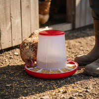 Heavy Duty Automatic Chicken Feeder with Lid Easy to Clean Plastic Poultry Feed Container Rustproof for Backyard