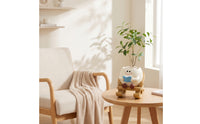 Cute Planter with Rocking Chair Base Whimsical Rocking Chair Planter Playful Succulent Pot Happy for Office, Shelf