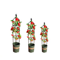 Garden Trellis for Climbing Plants with Heavy Duty Metal Plant Support, Cylindrical Garden Obelisk with 3 Rings, Clematis Support Decoration