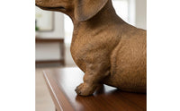 Dachshund Resin Figurine Lightweight Dachshund Statue Naturalistic Wiener Dog Ornament for Living Room, Shelf