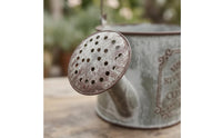 Distressed Green Watering Can Planter Matte Finish Vintage Metal Planter Frosted Look Vintage Watering Can Embossed Lettering