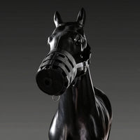 Padded Horse Muzzle with Halter Ventilated Horse Muzzle Lightweight Tack Nylon for Horses, Stable