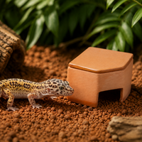 Leopard Gecko Shelter, Reptile Shelter, Hideout, Moisturizing, Terracotta, 2-Pack