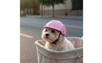 Photo Prop Pet Helmet Lightweight Dog Safety Helmet Adjustable Strap for Cats, Outdoor, Motorcycle Rides, Biking