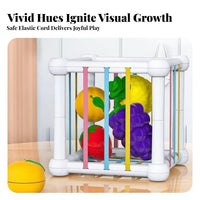 Cutting Play Fruit Set Hand-Eye Coordination Fine Motor Skills Toy Hands-on Learning Influenced Fruit Piece Sensory Toy for Children, Girls, Nursery
