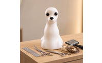 Pet Grooming Practice Head Smooth Dog Mannequin Head Customizable for Salons