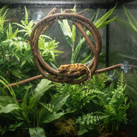 Reptizoo Terrarium Climbing Vine for Reptiles and Amphibians, Jungle Habitat Decor
