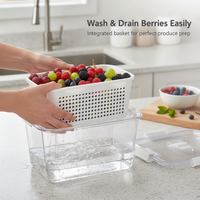 Japanese-Style Double-Layer Draining Storage Box for Refrigerator, Vegetable and Fruit Crisper