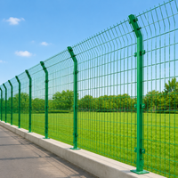 Animal-proof Wire Mesh Fence, Green, Double Wire, High Security, Rust-proof, Powder Coated