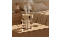 High-Frequency Humidifier twinSpray Tabletop Humidifier Appliance Compact Portable for Desk, Office