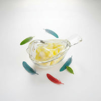 Parrot Feather Collection Box Bird Shaped Trinket Box