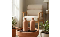 2 Pieces Porous Self-Watering Bottle Steady Ceramic Irrigation Bottle Natural Terracotta Watering Spikes Minimalist for Vacation, Balcony
