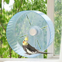 Parrot Bird Exercise with Flat Surface Perch, Bird Activity and Parrot Play Budgie Toy