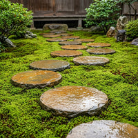Rough Stepping Stone, 3-4cm Thick Outdoor Patio Stepping Stones, High Durability, Frost Resistant, Slip Resistant Garden Pavers