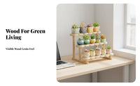 Stair Design Tiered succulent plant Stand Space-Saving Multilevel Display Stand Decorative Plant Holder for Office Workers, Home Decorators, Students, Windowsill, Balcony, Study Room, Countertop
