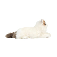 Cat Stuffed Toy Realistic Stuffed Cat Adorable for Bed