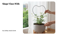 Indoor & Outdoor Use Houseplant Climbing Stake Decorative Design Garden Trellis Natural Look Plant Support Structure for Gardeners, Home Decorators, Potted Plants, Balcony, Patio