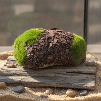 Artificial Flocked Moss Stones for Micro Landscape & Green Wall Decor