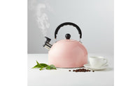 Pink Singing Kettle    Whistle 3L Stovetop Water Kettle Anti-Heat Handle Stainless Steel Whistling Teapot for Coffee Drinkers, Home Bar