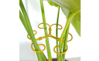 Plant Support Loop Steel Metal Plant Support Loop Decorative Design Blossom Stalk Holder