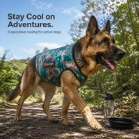 Large Dog Cooling Vest Camouflage Mesh Breathable for Summer Outdoor Training