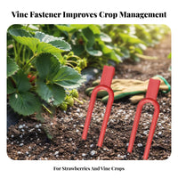 Secure Hold Strawberry Vine Fork Easy to Use Strawberry Support Fork Sturdy for Home Gardeners, Farmers, Garden, Vegetable Plot, Greenhouse