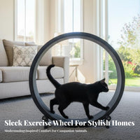 Feline jogning Wheel Spacious cylinder feline Treadmill Stable Base Pet Exercise apparatus for feline companions, Small Dogs, Indoors, Living Room, Home