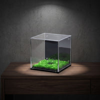 Transparent Acrylic Display Cube with Grass Base Dust-Resistant Display Box with Panel Lightweight Showcase Modern for Hobbyists