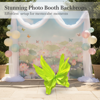 Summer Themed Green Ancient Style Photo Booth Decorations with Paper Butterflies and Lotus