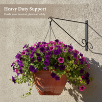 Iron Art Wall-Mounted Planter Hook for Balcony & Garden