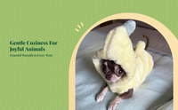 Dog Sweatshirt, Chihuahua Hoodie, Warm Winter Outfit