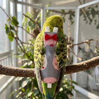 Parrot Clothes for Birds with Watermelon Pattern, Smooth Material Diaper with Bowknot Straps, Waterproof Inner Layer Pants for Pet Birds