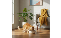 Anti-Tip Ceramic Pet Bowl Easy to Clean Cat Food Bowl Dishwasher Safe Dog Feeding Dish High-Gloss Finish for Dogs