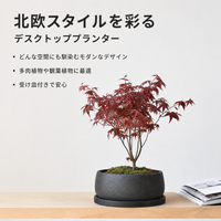 planter pots