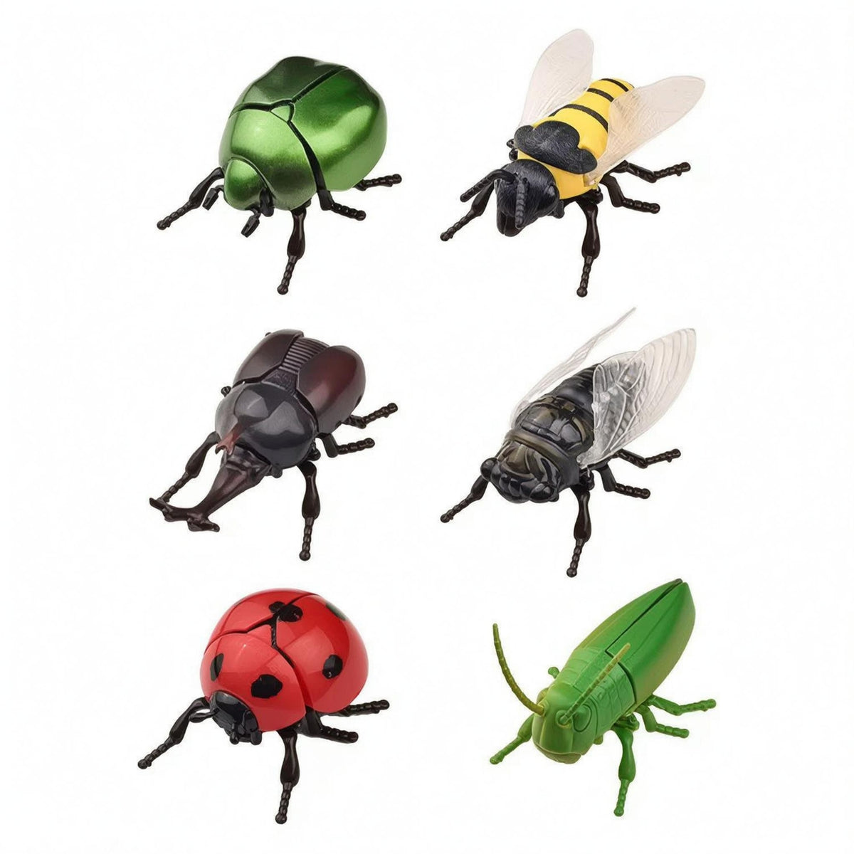 6 Pieces Boxed Set Wind-up Toy Articulated Legs Crawling Bug Toy Translucent Wings Plastic Figure Printed Color Box