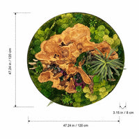 moss art wall decor