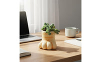 Feline Foot Flower Pot Micro Landscape Decor Cute Cat Foot Planter Creative Small Present Resin Pot for Desktop, Windowsill, Balcony