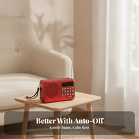 Carrying Strap Portable Radio Speaker Keypad-Style Controls Digital Radio Speaker
