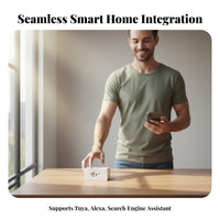 Brazilian Conventional Plug Schedule & Timer Function Wirelessreless Fi Smart Plug 16A Smart Outlet Distant Control App