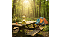 Educational Kids Bug Catcher Kit Learn While Playing Butterfly Net and Viewer Hands-On Learning for Camping, Backyard