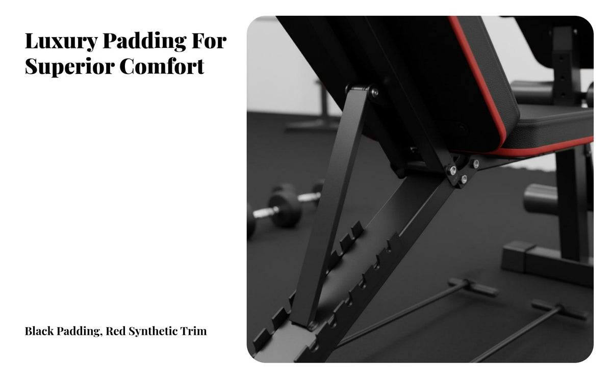 Dumbbell Exercise Bench Non-Slip Feet Adjustable Weight Bench Heavy-Duty Steel Construction Fitness Equipment for Beginners