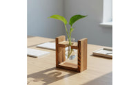 Retro Design Tabletop Glass Planter Wooden Stand Creative Gift Glass Bulb Planter Easy Water Change House Decoration for Bedroom