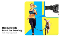 Zipper Closure Handsunrestricted Dog Leash Elastic Reflective Waist Bag Leash Snap-on Pet Accessory for Joggers, Jogging