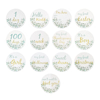 13 Pieces Monthly Developmental Discs Baby Developmental Discs Botanical