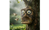 Hanging Bird Feeder Outdoor Bird Feeder with Hanging Hook Open Garden Design Decor for Patio