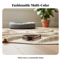 Canvas Dog Color Block Design Adjustable Dog Sturdy for Dogs, Young Dogs, Training, Daily Use, Outdoor
