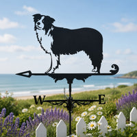 Border Collie Weathervane Stainless Steel Border Collie Wind Vane European Design Dog Weathervane for Yard, Rooftop, Farm
