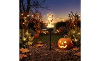 Halloween Garden Stake Light Decorative specters Stake Light Multicolor for Pathway