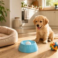 Slow Feeder Bowl Wide Slow Feeder Dog Bowl Interactive for Fast Eaters, Cats, Indoor, Outdoor