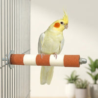 Parrot Perch Straight Rod Bird Stand, Sanded Bird Grinding Perch for Paw Grinding, Parrot Cage Perch with Bolt and Washer for Small Medium Birds